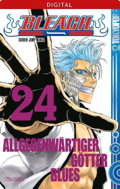 Bleach - Bd. 24 [eBook]