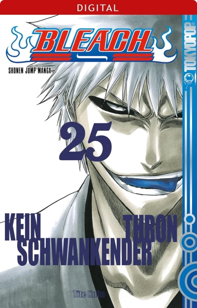 Bleach - Bd. 25 [eBook]