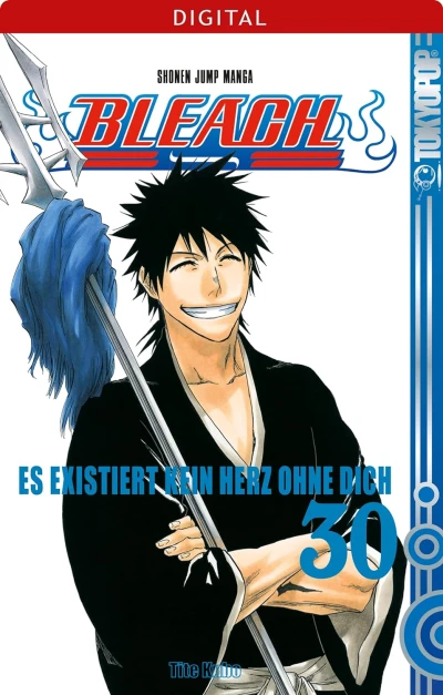 Bleach - Bd. 30 [eBook]