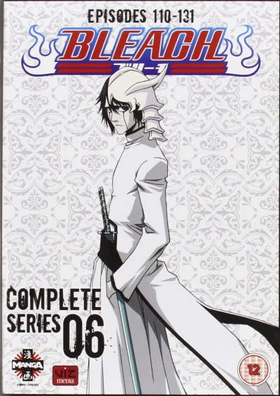 Bleach: Season 06