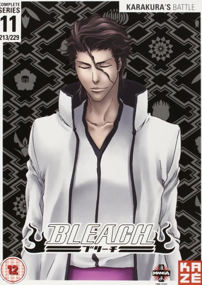 Bleach: Season 11