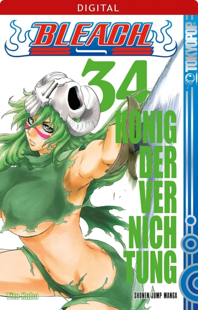 Bleach - Bd. 34 [eBook]