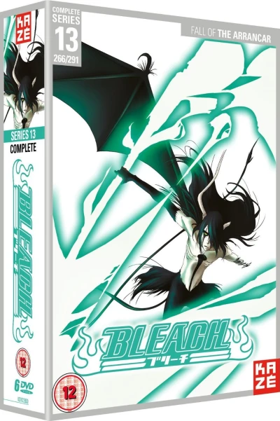 Bleach: Season 13