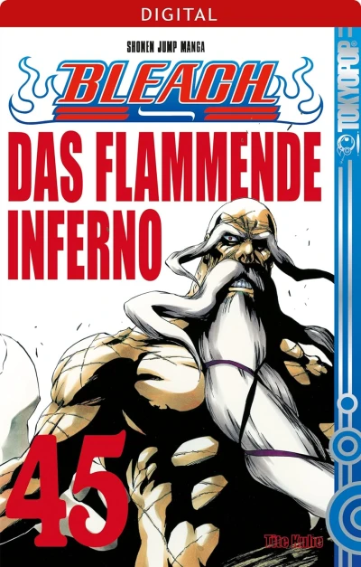 Bleach - Bd. 45 [eBook]