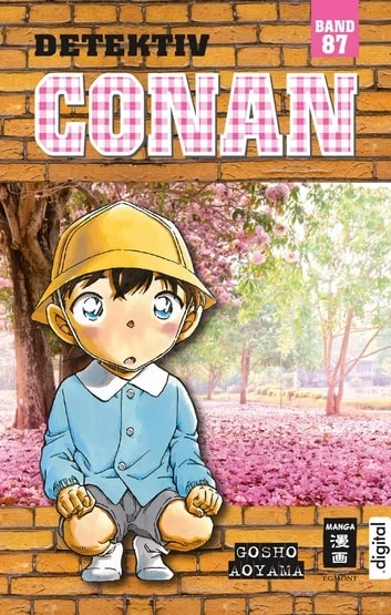 Detektiv Conan - Bd. 87 [eBook]