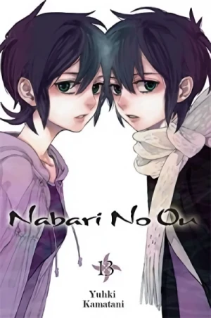 Nabari No Ou - Vol. 13