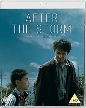 After The Storm [Blu-ray]