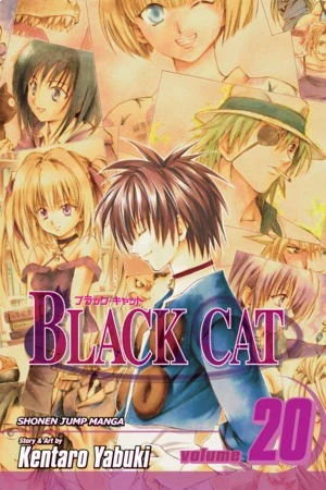 Black Cat - Vol. 20 [eBook]