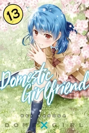 Domestic Girlfriend - Vol. 13 [eBook]