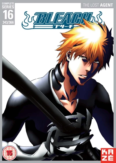 Bleach: Season 16