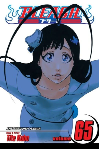 Bleach - Vol. 65 [eBook]