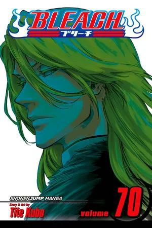 Bleach - Vol. 70 [eBook]