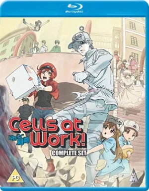Cells at Work!: Season 1 [Blu-ray]