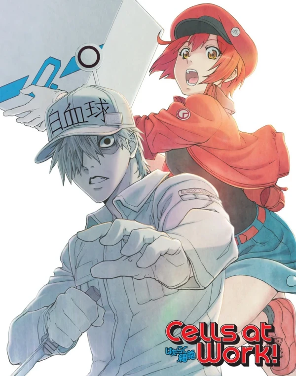 Cells at Work! Season 1 - Collector’s Edition [Blu-ray]