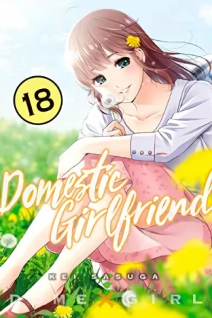 Domestic Girlfriend - Vol. 18 [eBook]