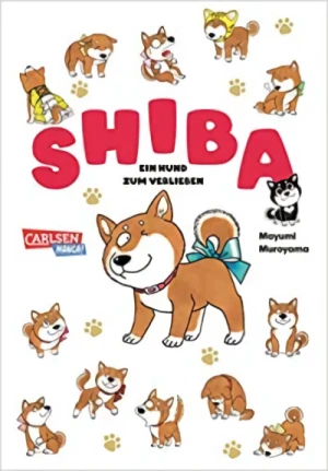Shiba: Ein Hund zum Verlieben