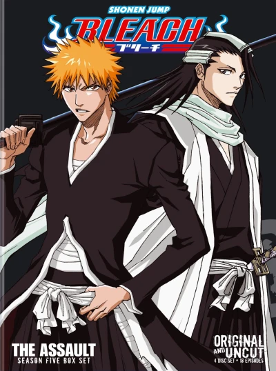 Bleach: Season 05