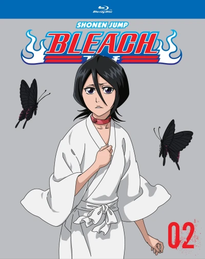 Bleach - Box 02/13 [Blu-ray]