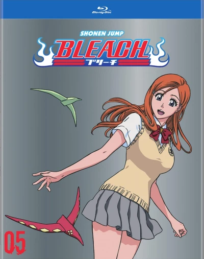 Bleach - Box 05/13 [Blu-ray]