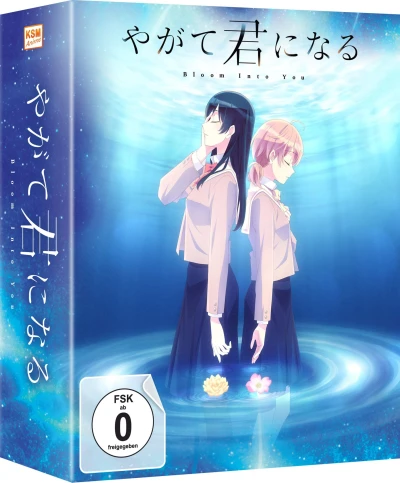 Bloom into You - Vol. 3/3 + Sammelschuber