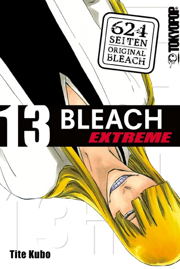 Bleach: Extreme - Bd. 13