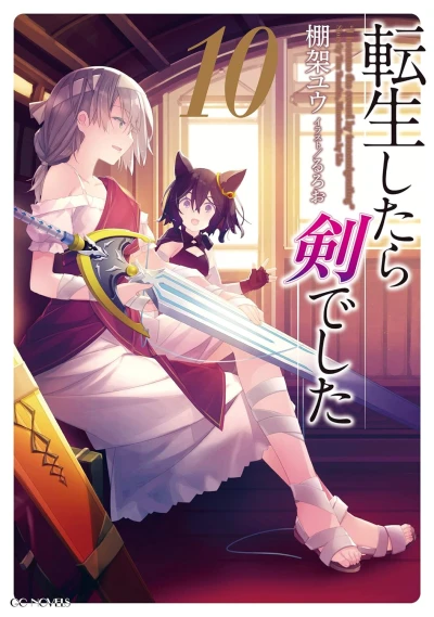 転生したら剣でした - 第10巻