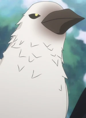 Charakter: Zain  [Transformed]