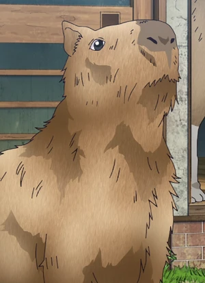 KAZUYO