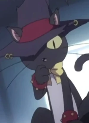 Charakter: Black Cat