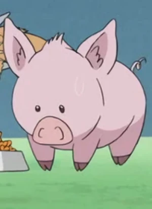 Charakter: Pig-Berus