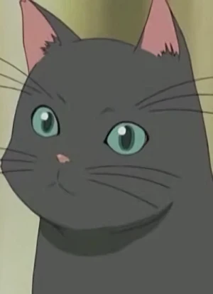 Charakter: Suzuko's Cat