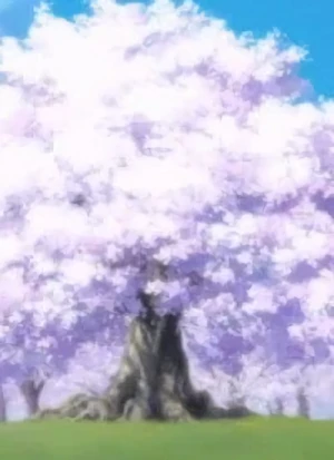 Charakter: Karenai Sakura