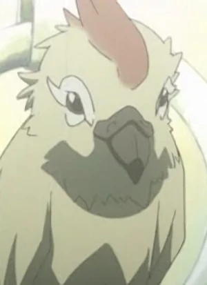 Charakter: Aru-koto Nai-koto Parrot