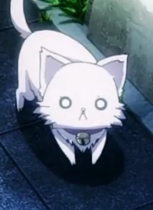 Charakter: Neko  [Cat Form]