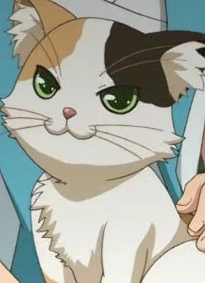 Charakter: Calico Cat