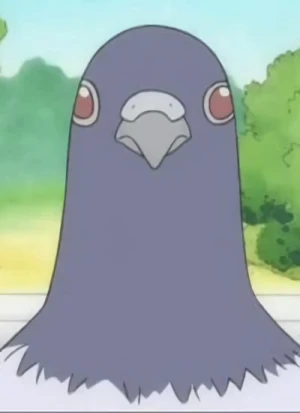 Charakter: Pigeon