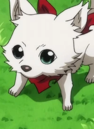Charakter: Momoo INUGAMI [Dog]