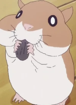 Charakter: Hamster
