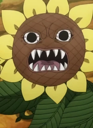 Charakter: Sonnenblume