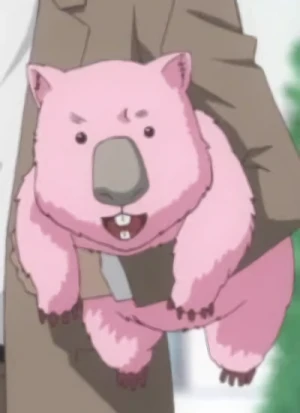 Charakter: Wombat