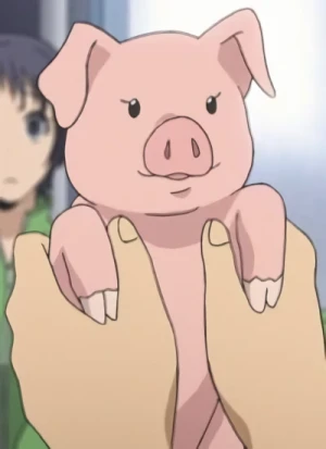Charakter: Schweinefleischgericht