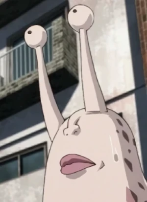 Schnecko