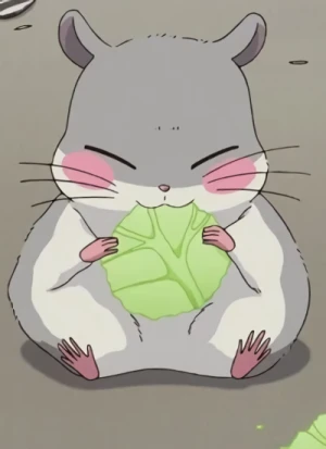 Tsubu