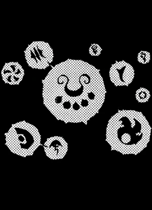 Jikkai