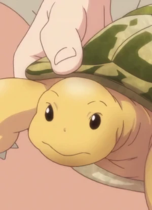 Kamekichi