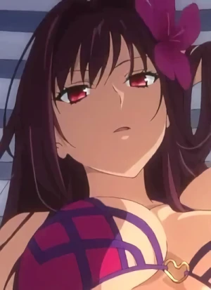 Scáthach  [Assassin]