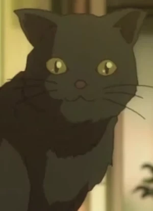 Charakter: Katze