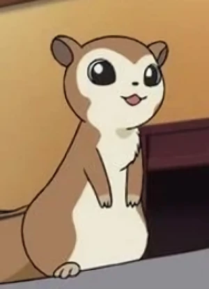 Tashitsu