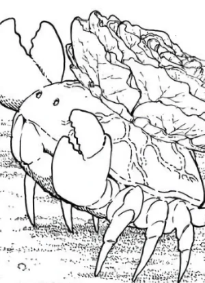 Charakter: Fushi  [Krabbe]
