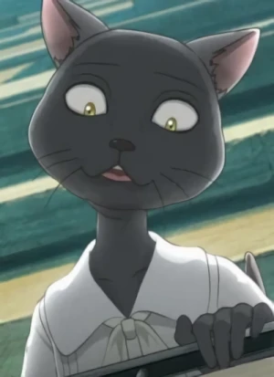 Charakter: Schwarze Katze